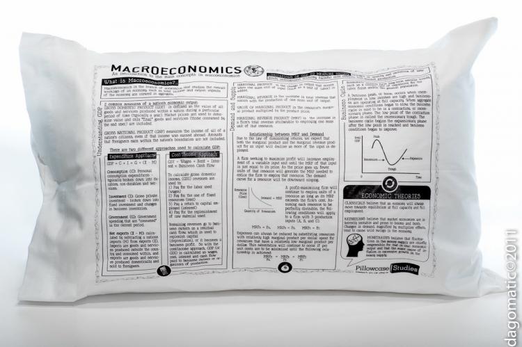 Study Guide Pillow Cases - Economics