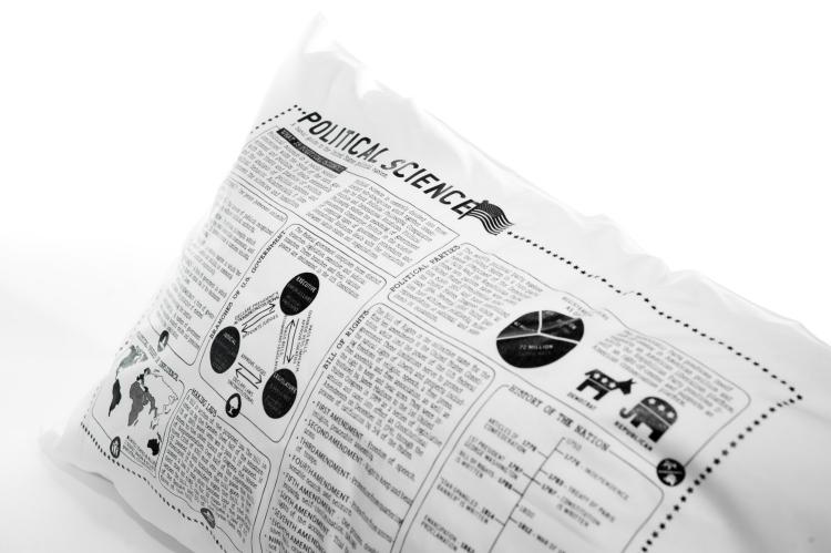 Study Guide Pillow Cases - Political Science