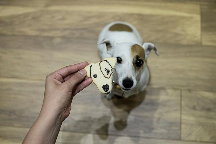 Cookie Cutter Shaped Like Your Face - Pets Face