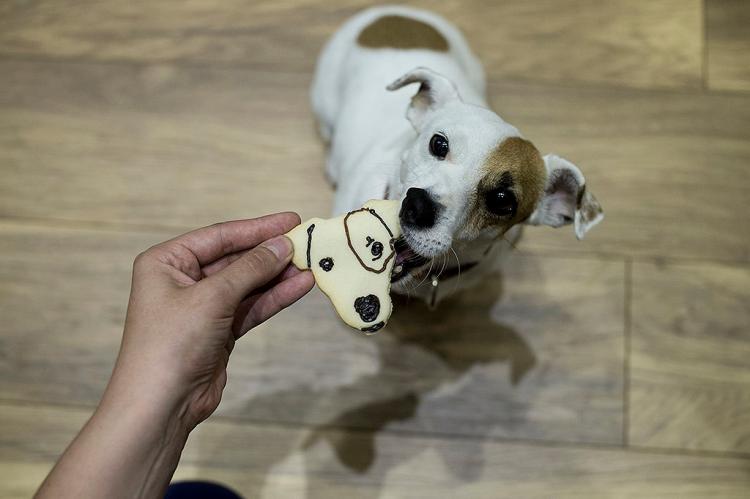 Cookie Cutter Shaped Like Your Face - Pets Face