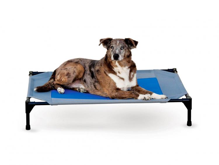 Cooling Outdoor Dog Lounger With Cold Water Bladder Keeps Pooch Cool In Hot Summer