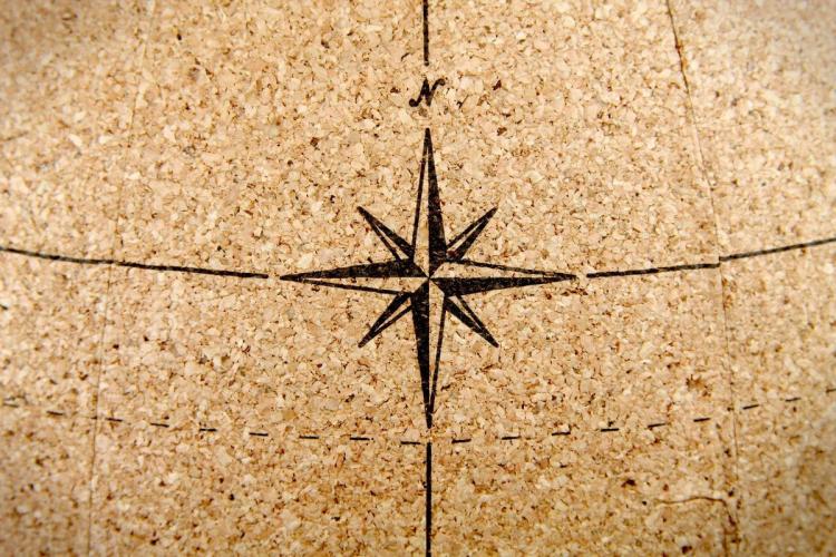 Cork Globe - Pin Travel Points On Cork Globe