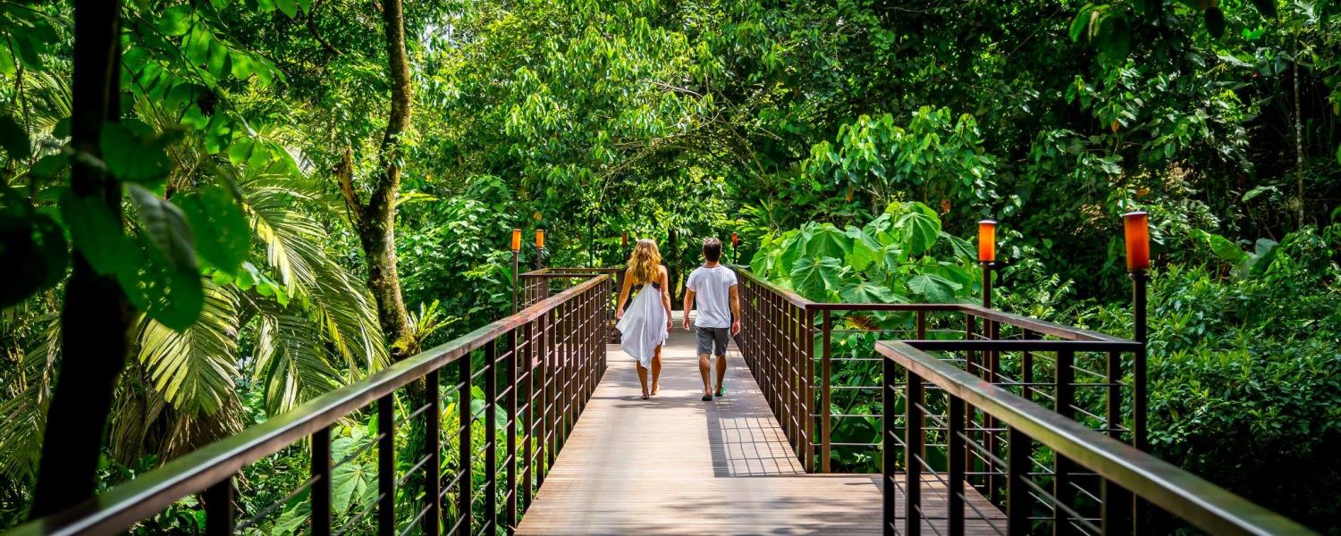 Luxury Costa Rican Villa That Lets You Sleep In The Rainforest and Hang Out With Sloths - Sloth rainforest villa