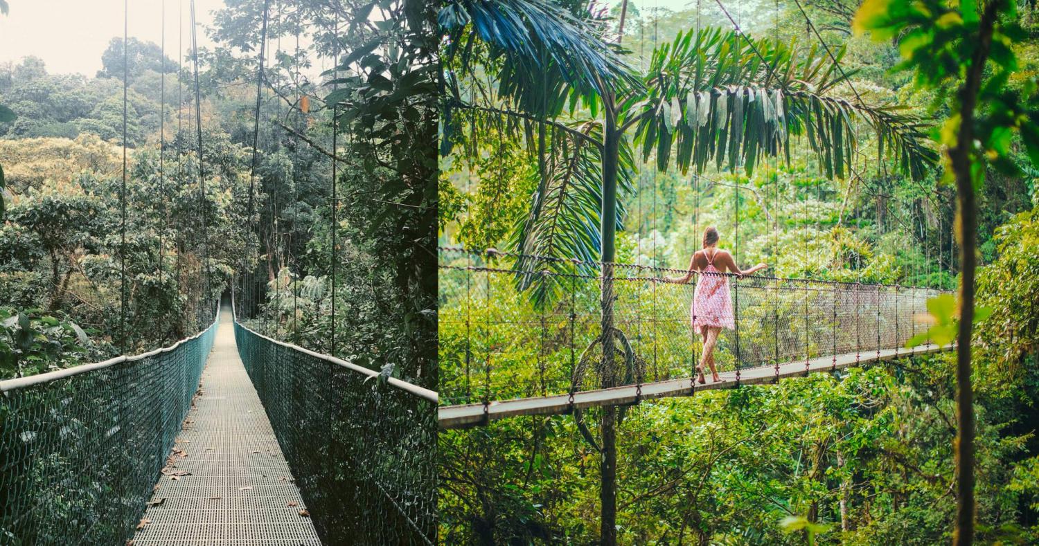 Luxury Costa Rican Villa That Lets You Sleep In The Rainforest and Hang Out With Sloths - Sloth rainforest villa