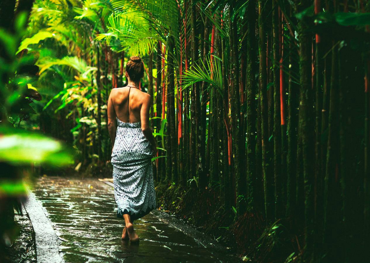 Luxury Costa Rican Villa That Lets You Sleep In The Rainforest and Hang Out With Sloths - Sloth rainforest villa