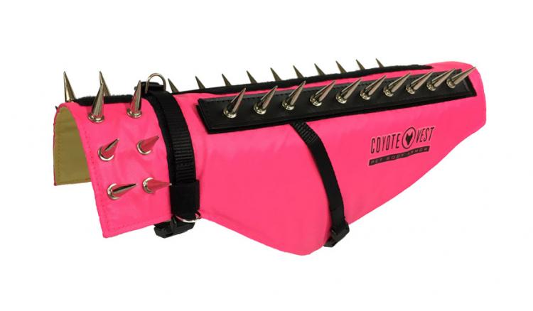 Coyote Vest: Spiked Dog Harness Protects Against Coyotes and Birds of Prey