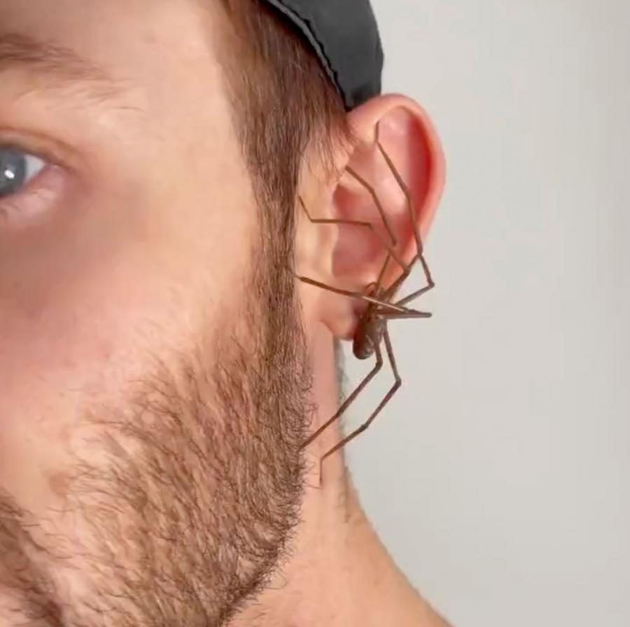 Giant Spider Earrings