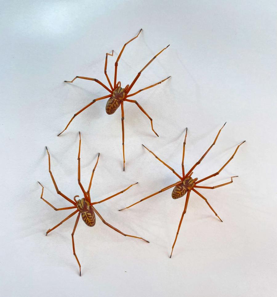 Giant Spider Earrings