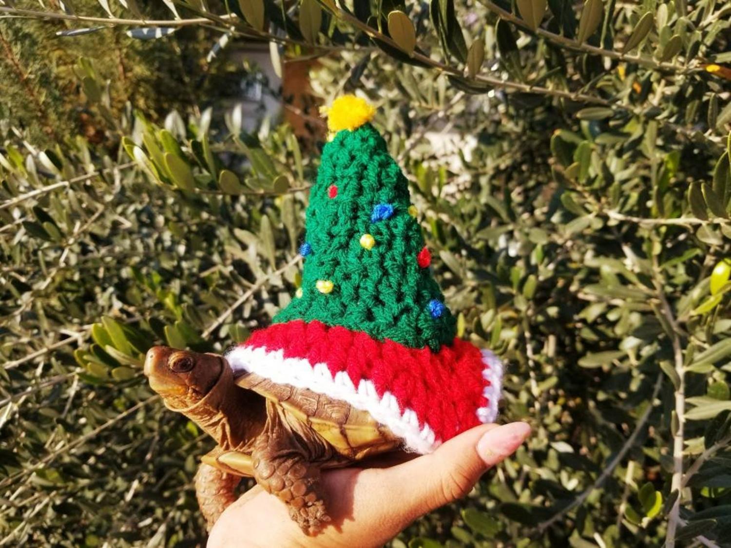 Crochet Christmas Tree Turtle Costume tortoise Sweater