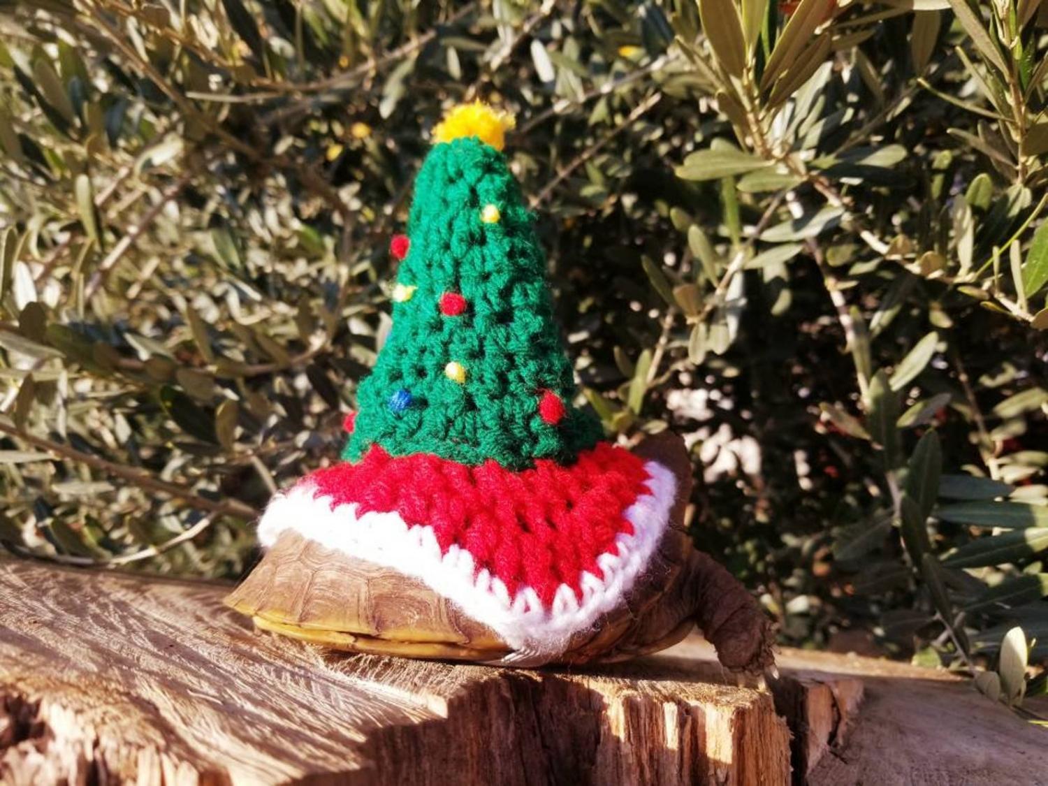 Crochet Christmas Tree Turtle Costume tortoise Sweater