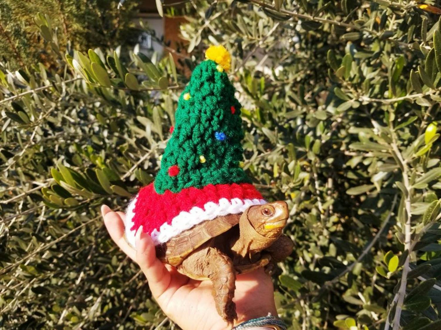 Crochet Christmas Tree Turtle Costume tortoise Sweater