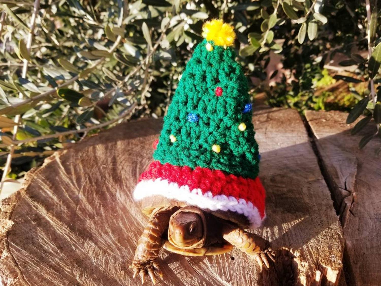 Crochet Christmas Tree Turtle Costume tortoise Sweater