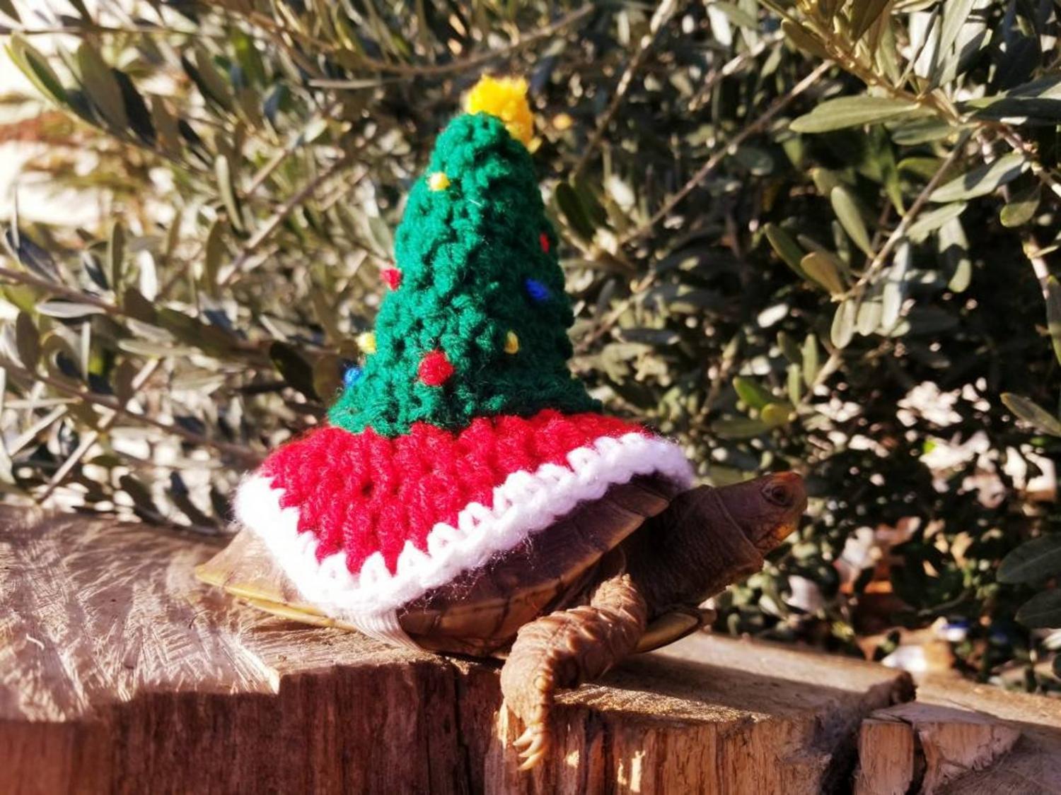 Crochet Christmas Tree Turtle Costume tortoise Sweater