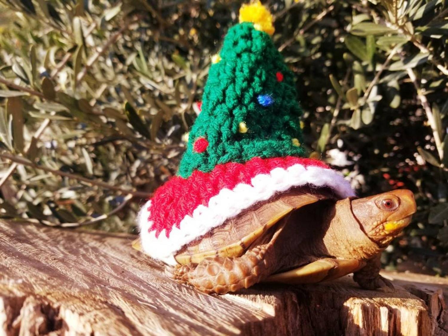 Crochet Christmas Tree Turtle Costume tortoise Sweater