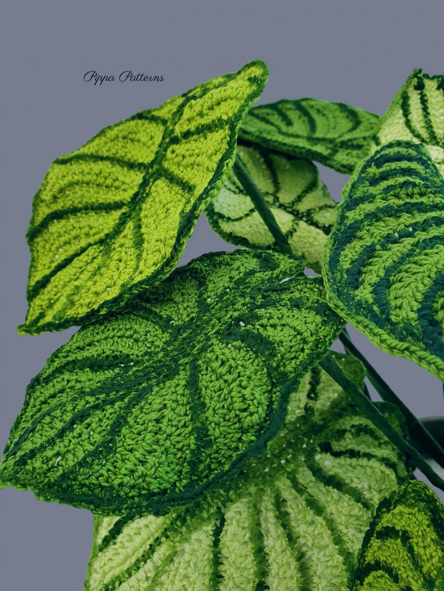 Crochet Plants Pattern