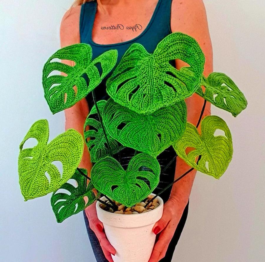 Crochet Plants Pattern