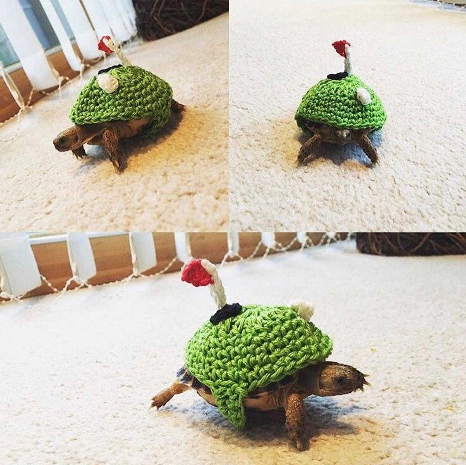 Crochet Turtle Sweater - Golf Course tortoise cozy