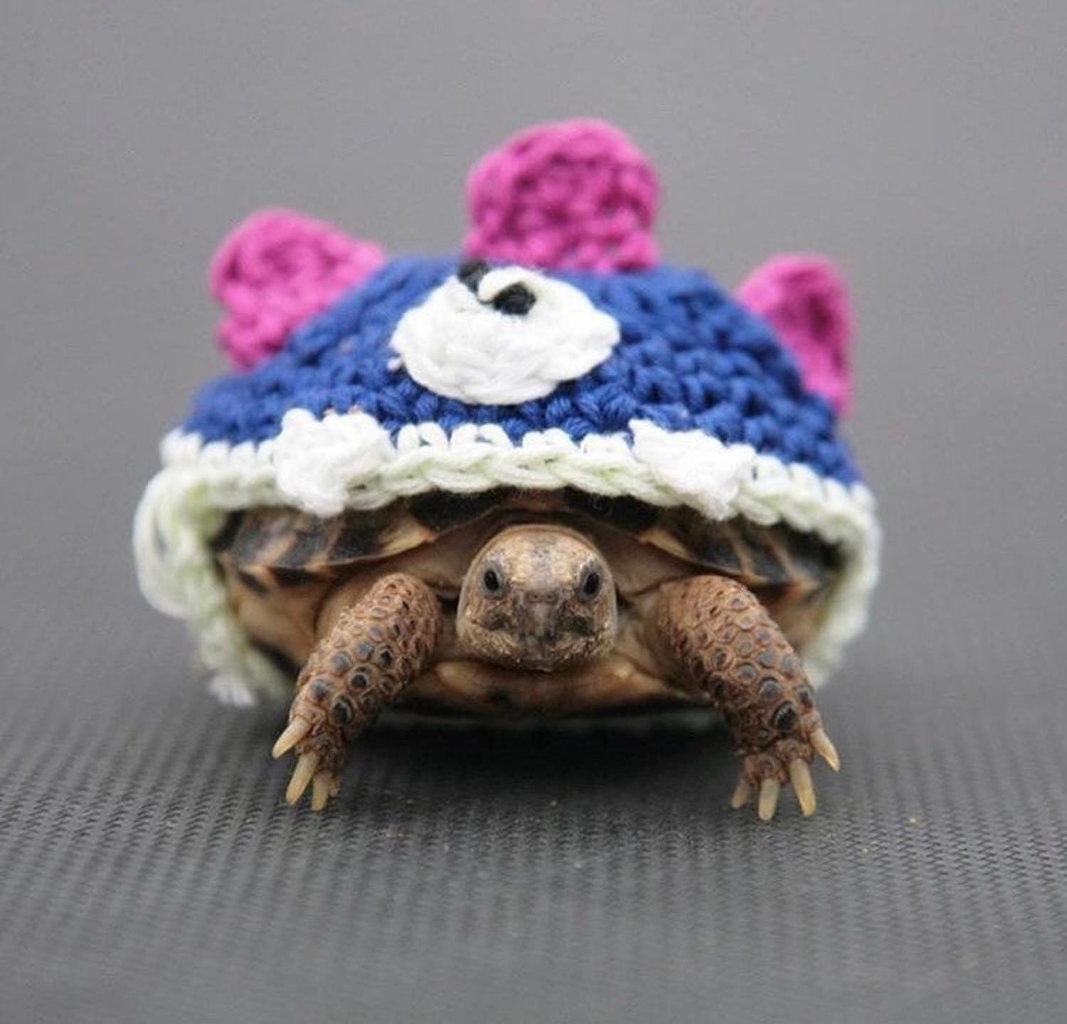 Crochet Turtle Sweater - Monster tortoise cozy