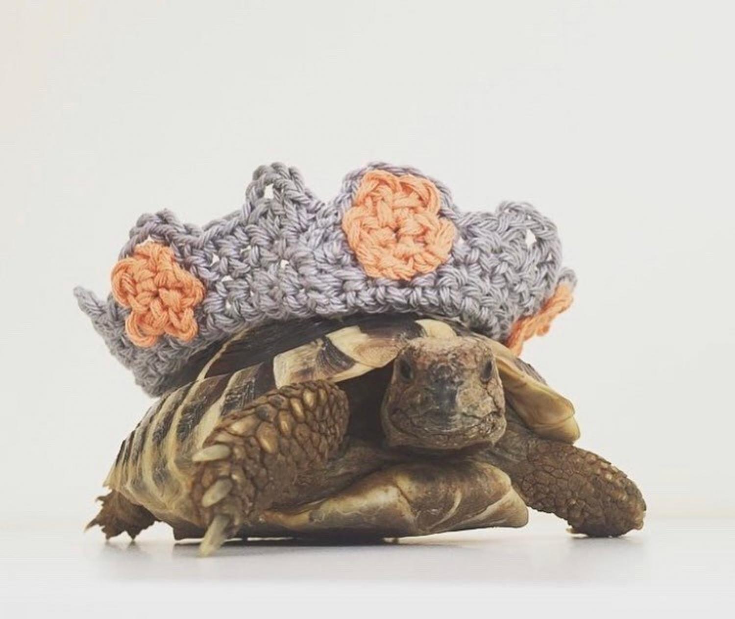Crochet Turtle Sweater - Crown tortoise cozy