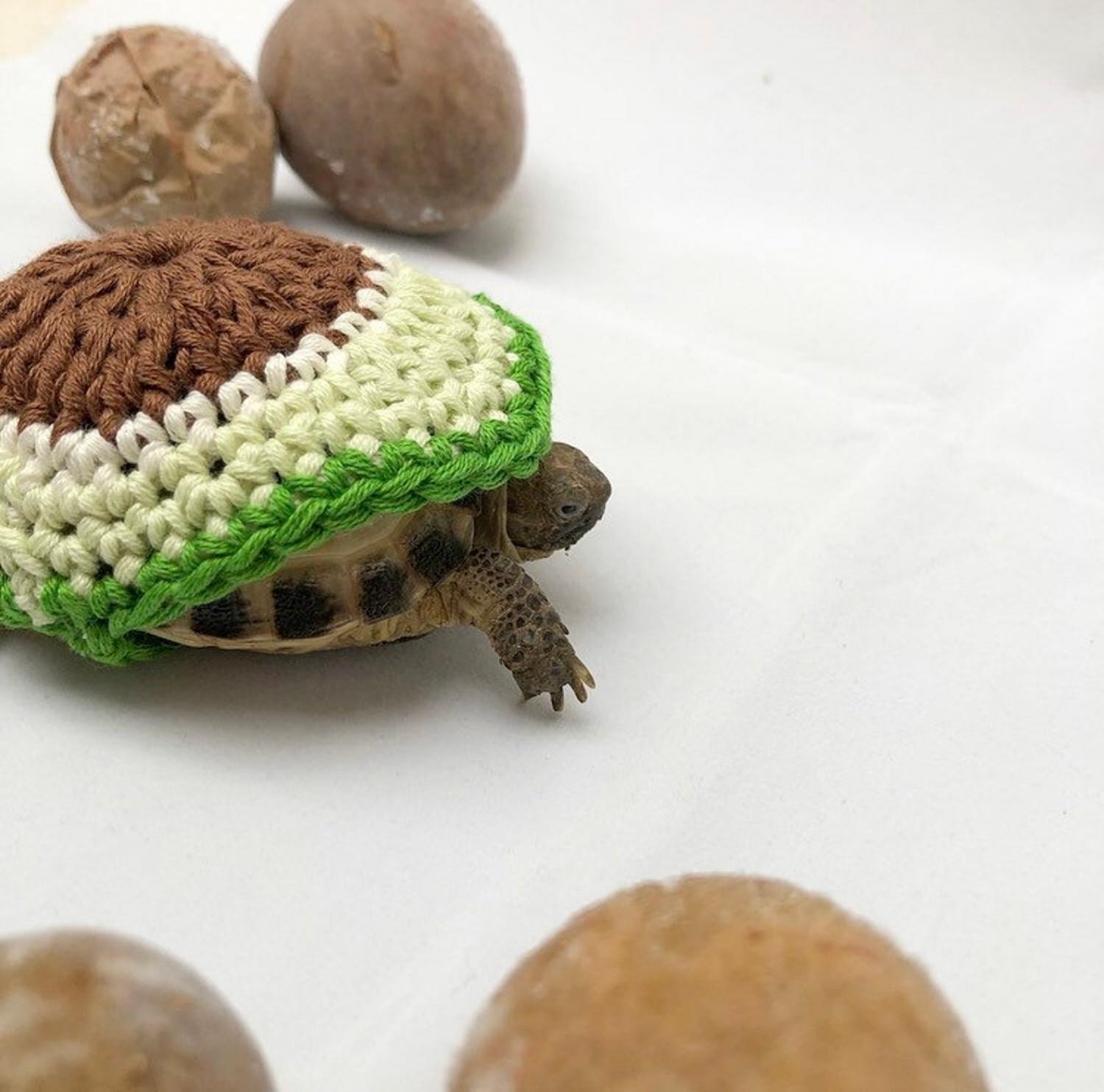Crochet Turtle Sweater - Avocado tortoise cozy