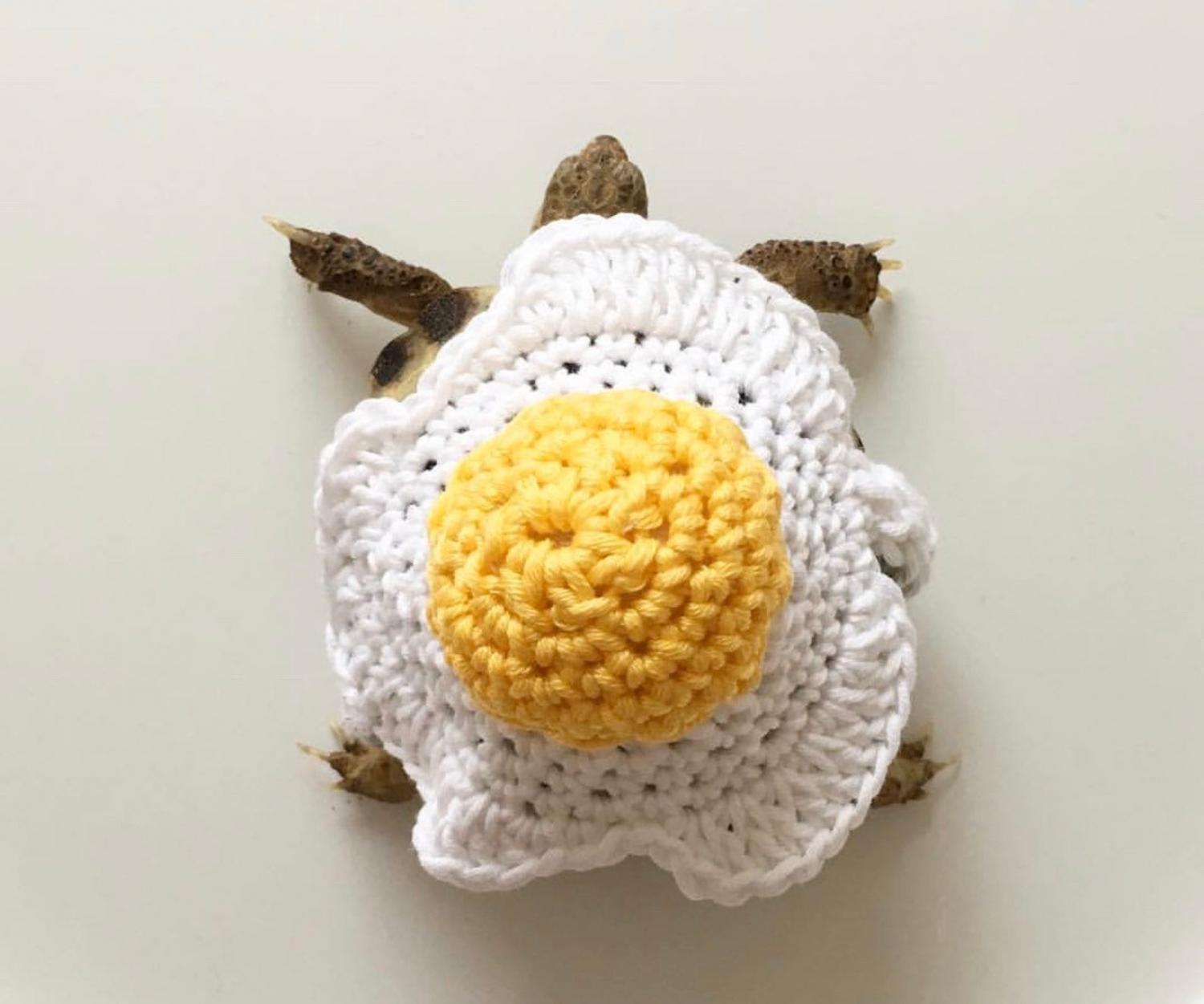 Crochet Turtle Sweater - Egg tortoise cozy