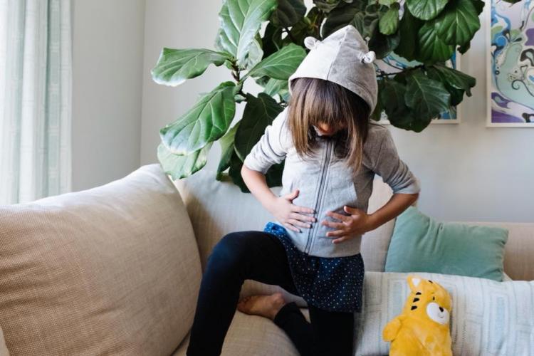 Cubcoats Stuffed Animal Hoodies - Convertible Stuffed animal turns into a hoodie sweatshirt