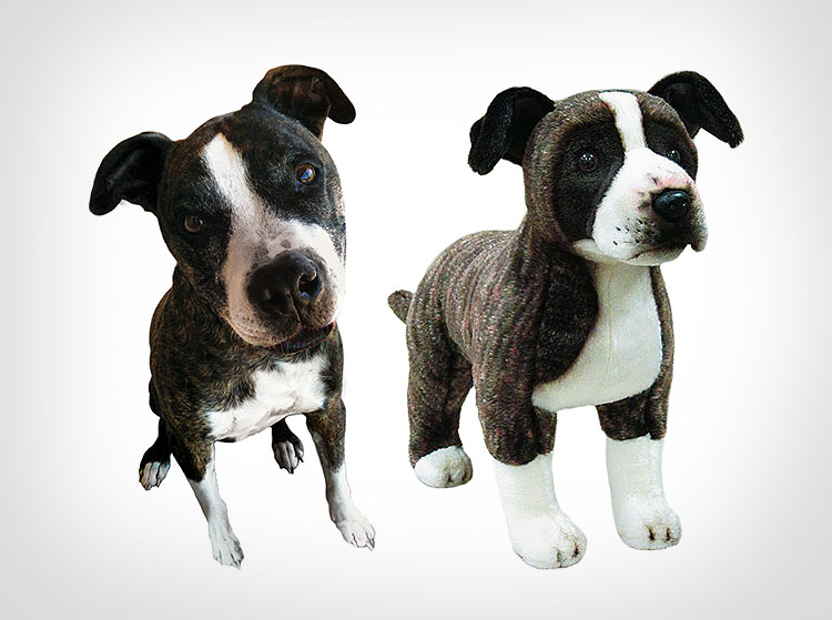 Cuddle Clones Make Your Dog Into A Stuffed Animal