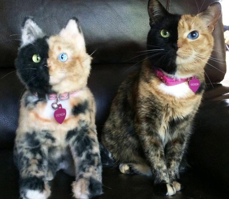 Cuddle Clones Make Your Dog Into A Stuffed Animal