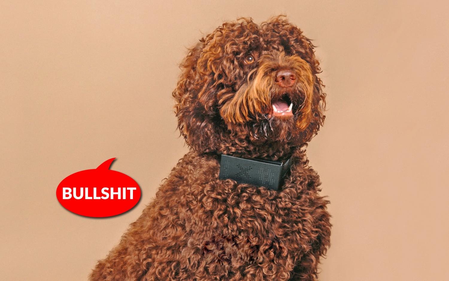 CussCollar - Cursing Dog Collar That Swears When Your Dog Barks