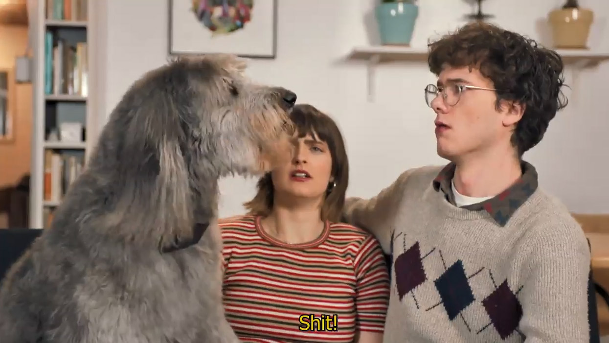 CussCollar - Cursing Dog Collar That Swears When Your Dog Barks