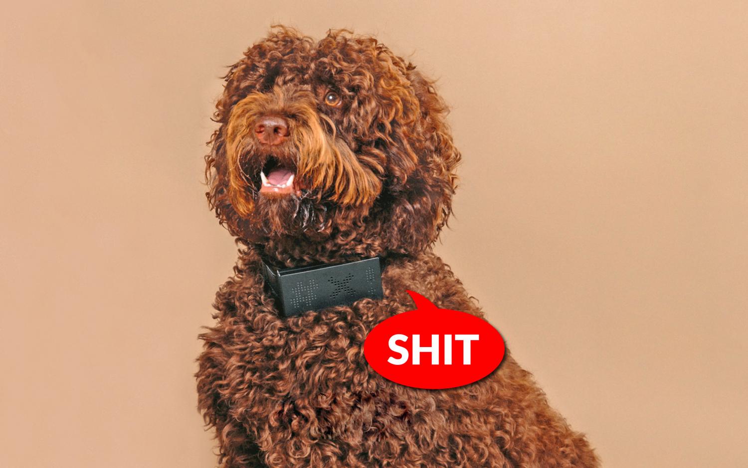 CussCollar - Cursing Dog Collar That Swears When Your Dog Barks