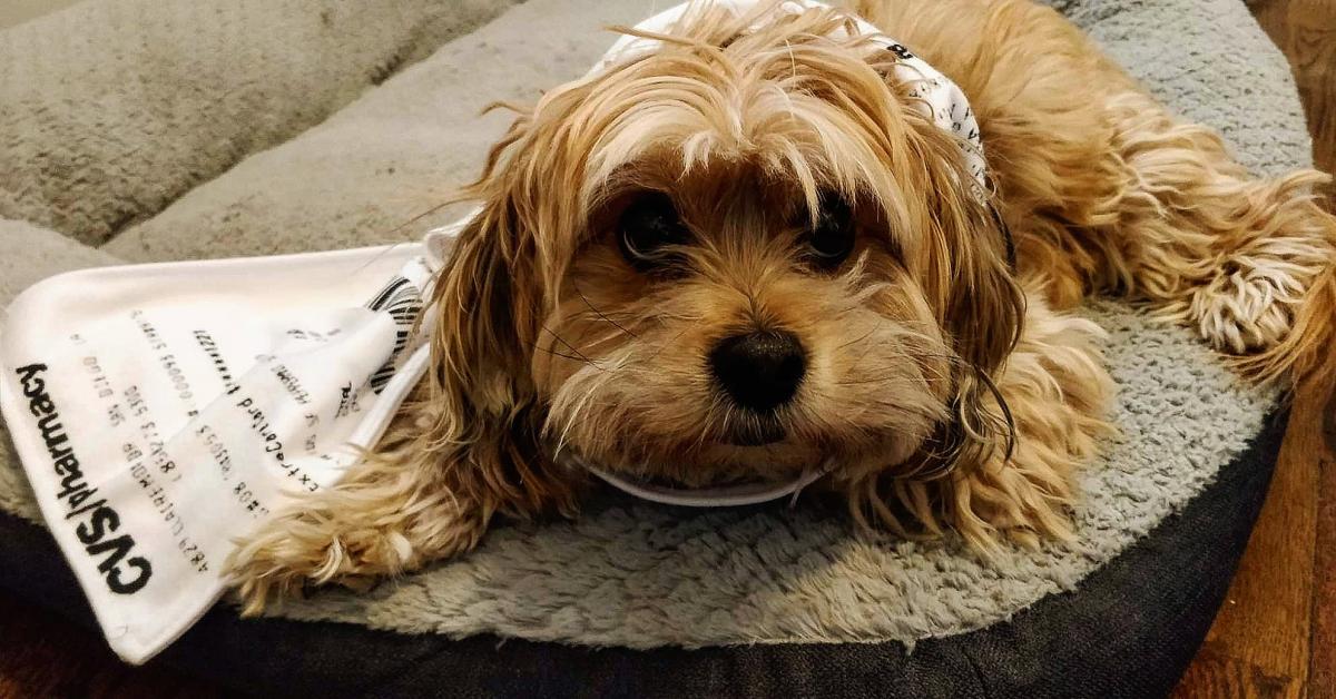 CVS Receipt Scarf