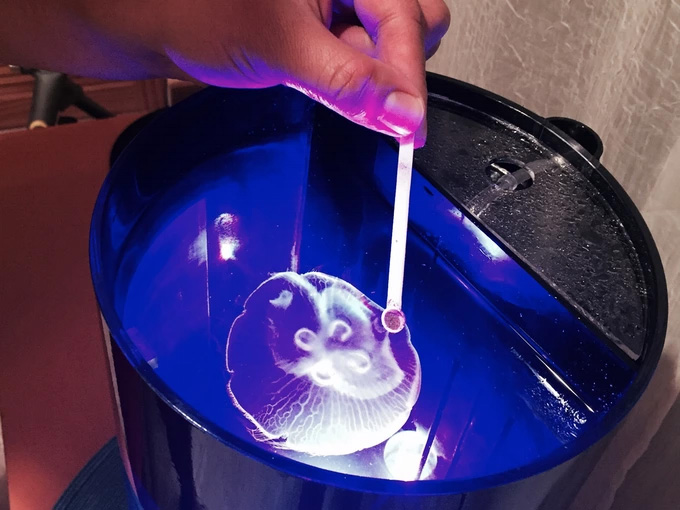 Cylinder Shaped Jellyfish Aquarium