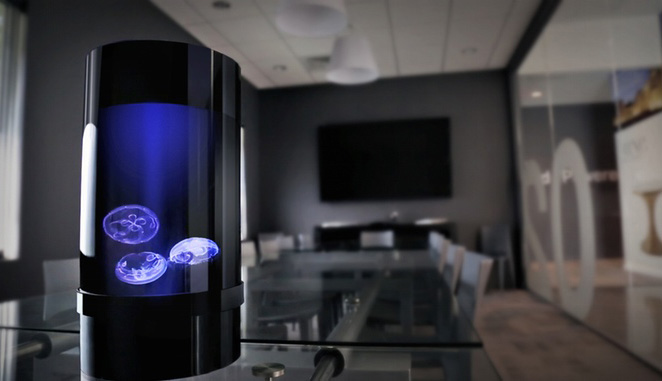 Cylinder Shaped Jellyfish Aquarium