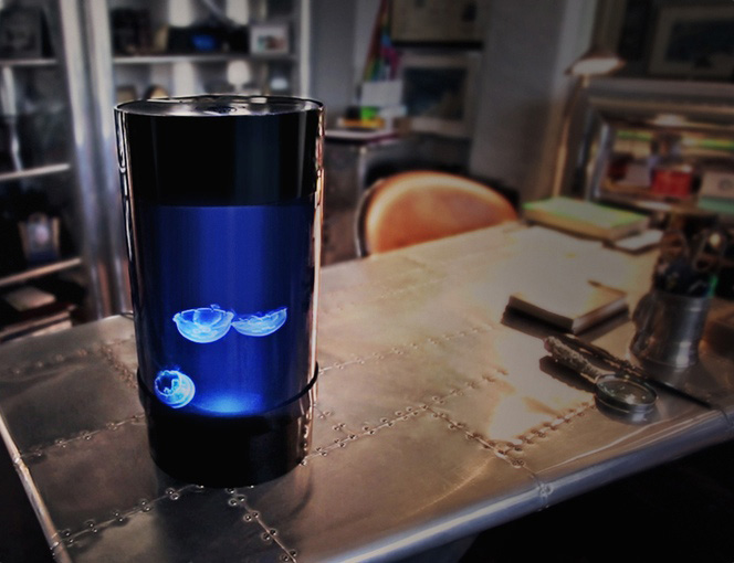 Cylinder Shaped Jellyfish Aquarium