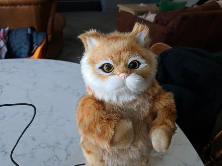 Dancing Cat Speaker - Robotic Moving Cat Dances To Music
