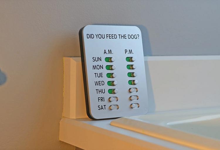 Did You Feed The Dog Reminder Tablet - Feed the dog reminding sliders