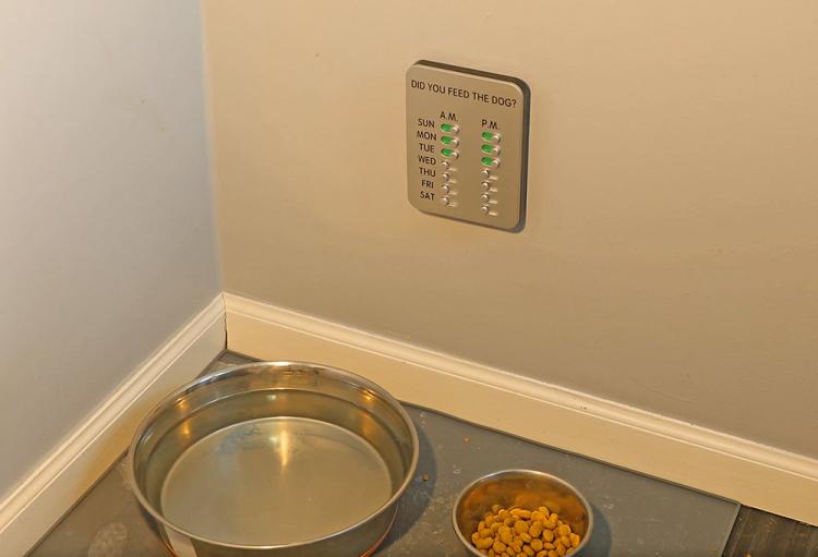 Did You Feed The Dog Reminder Tablet - Feed the dog reminding sliders