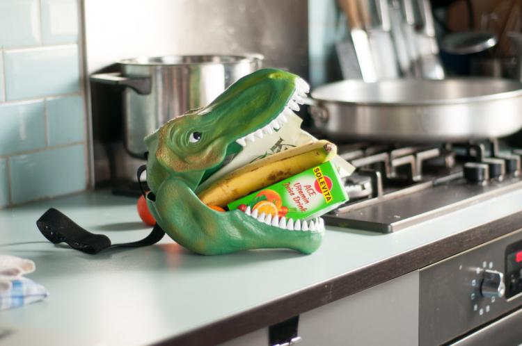 Dinosaur Head Lunch Box - T-Rex Dinosaur Head Carrying Case - Dinosaur toy carrying case