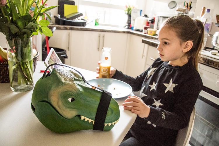 Dinosaur Head Lunch Box - T-Rex Dinosaur Head Carrying Case - Dinosaur toy carrying case
