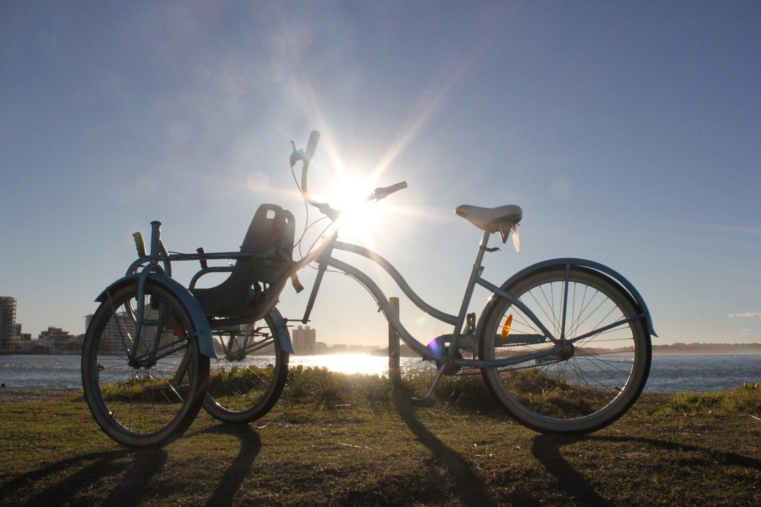 Bike Chair - Disabled bicycle helps handicapped go for bike ride - Front passenger disabled tricycle