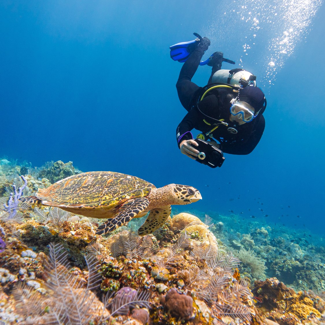 Diveroid all-in-one scuba diving computer, sensor, logbook, and underwater camera