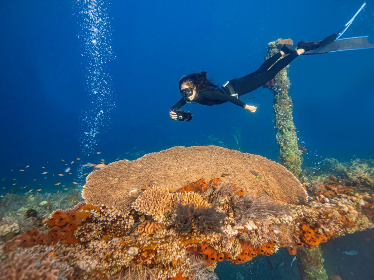 Diveroid all-in-one scuba diving computer, sensor, logbook, and underwater camera