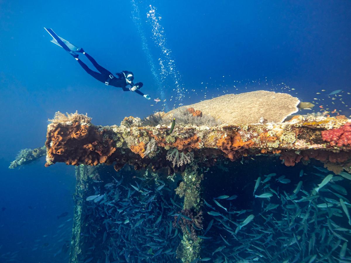 Diveroid all-in-one scuba diving computer, sensor, logbook, and underwater camera