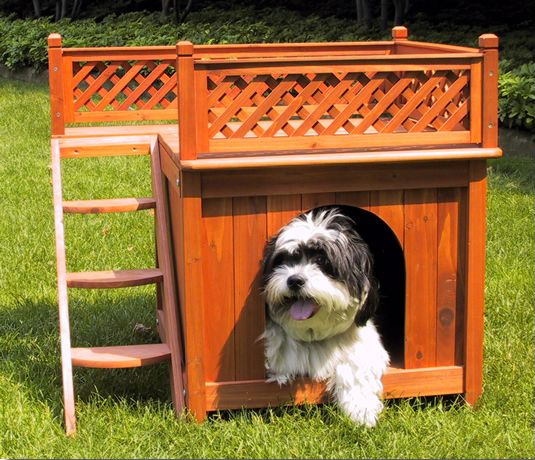 Wooden Dog Bed Bunk Bed - Wooden Room With a View Pet House
