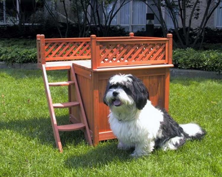 Wooden Dog Bed Bunk Bed - Wooden Room With a View Pet House