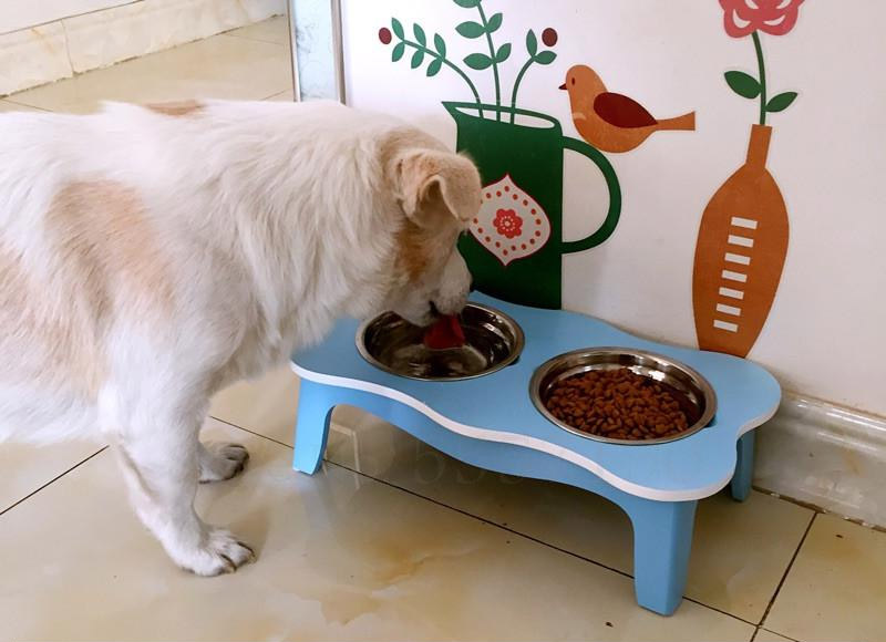 Dog Bed With Built-in Closet and Feeding Bowls