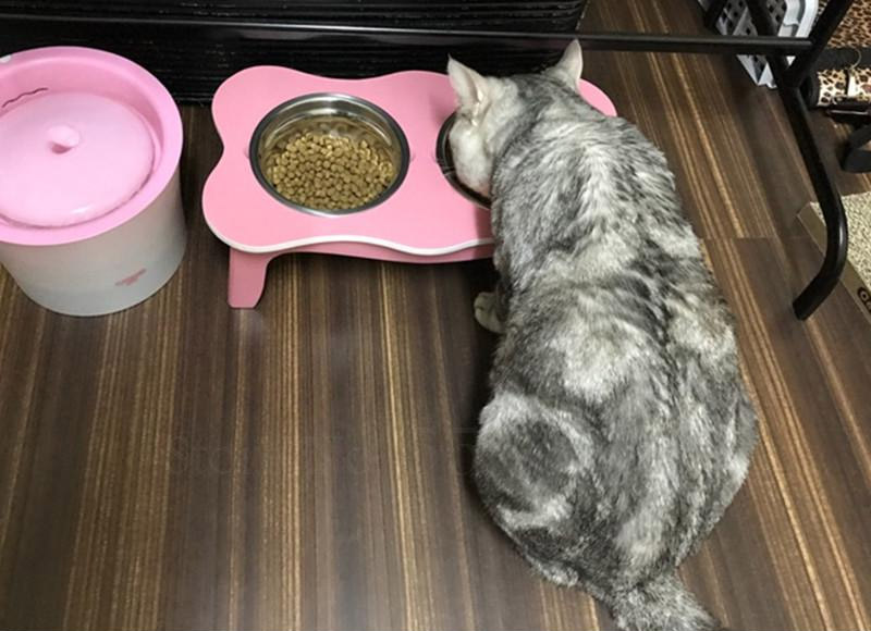 Dog Bed With Built-in Closet and Feeding Bowls