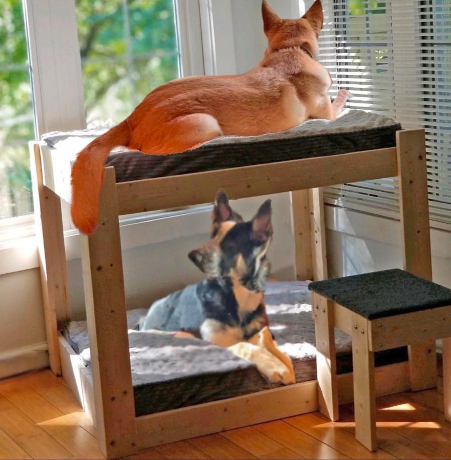 Dog Bunk Bed