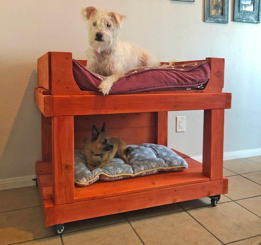 Dog Bunk Bed